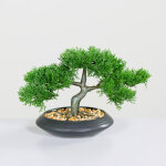 Bonsa� de c�dre dans un bol en c�ramique noire - env. 32 x 22 cm - arbre artificiel d�coratif