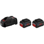 Bosch professional - pack de 2 batteries procore18v 5. 5ah - bosch - avec chargeur gal 1880 cv - 1600a0214c ...