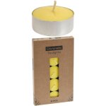 Bougie  la citronnelle en coupelle lot de 15