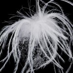 Boule de nol en verre lgende d'hiver 6cm blanc - paris prix