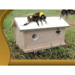 Bourdon abeille bourdon maison bourdon abeille bote  nid insecte maison insecte maison htel xxl