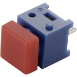 Bouton - poussoir tru components ds - 660s - s rd 703508 100 v 1 a 1 x off / (on)  rappel 1 pc(s) s816811 ...