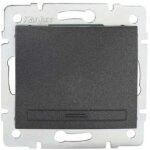 Bouton poussoir encastrable simple domo graphite