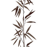 Bricoflor - papier peint marron pour bureau | papier peint bande d�corative zen avec motif feuille | ...