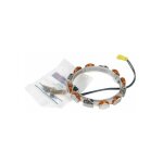 Briggs&stratton - alternateur autoport�e moteur