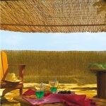 Celloplast - nortene brise vue en roseau 75% occultant 2 x 5 m reedcane