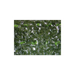 Brixo - haie artificielle avec rouleau de support arri�re rigide 3 mt. � feuilles persistantes 1x3 mt. ...