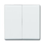 2105 - 32 plaque de recouvrement, commutateur multiple, commutateur inverseur double, bouton - poussoir ... 2105 - 32 plaque de recouvrement, commutateur multiple, commutateur inverseur double, bouton - poussoir ...