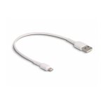 Câble de charge usb usb 2. 0 connecteur lightning , usb - a mâle 0. 30 m blanc 87866 y405303 - delock ... Câble de charge usb usb 2. 0 connecteur lightning , usb - a mâle 0. 30 m blanc 87866 y405303 - delock ...