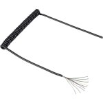 Tru components - c�ble spiral� 1571517 300 mm / 900 mm 10 x 0. 12 mm� noir 1 pc(s)