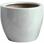 Cache pot bird gris en terre cuite 18 cm Cache pot bird gris en terre cuite 18 cm