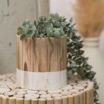 Cache - pot en bois pure, � 15 cm