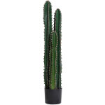 Cactus armadillo artificiel et r�aliste