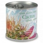Cactus prt  pousser en canette