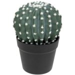 Cactus rond exotic panama h25cm vert atmosphera créateur d'intérieur Cactus rond exotic panama h25cm vert atmosphera créateur d'intérieur