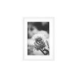 Cadre aluminium pour exposition 70x100cm blanc - blanc Cadre aluminium pour exposition 70x100cm blanc - blanc