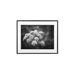 Cadre aluminium pour exposition 70x100cm noir - noir Cadre aluminium pour exposition 70x100cm noir - noir