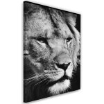 Cadre d�co lion d'afrique noir et blanc 70x100