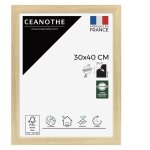 Ceanothe - cadre cadre 30x40 eternel naturel