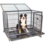 Cage pour chien int�rieur et ext�rieur mouvedyxl, 123x79x84cm, caisse de transport, roues verrouillables, ...