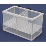 Cage d'�levage pour aquarium s�pare le protecteur d'oeufs de poisson incubateur grand