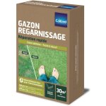 Gazon regarnissage 1kg caillard