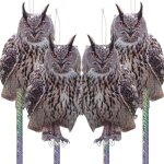 Caja de llaves segura, [seguridad mejorada] c�digo de combinaci�n de 4 d�gitos, caja de seguridad con ...