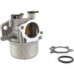 Carburateur briggs et stratton 794304 - 796707 - 799866