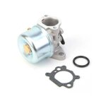 Carburateur pour moteur briggs & stratton 799866