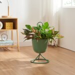 [en. casa] - porte - plantes alphen 48 x 23 cm 1 cache - pot vert