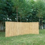 Casa. pro - canisse en roseau abbateggio 160 x 600 cm