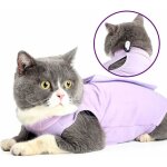 Cat professionnel restauration convient pour abdominaux collerette des plaies ou des maladies de la peau, ...
