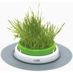 Cat sense jardin herbe a chat