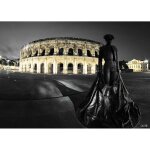 Tableau sur toile ar�nes de n�mes 45x65 cm - impression sur toile murale d�corative - image imprim�e ...
