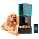 Cecotec pumba 6000 distributeur automatique noir 6l