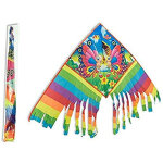 Cerf - volant arc - en - ciel, jeu de plage ext�rieur, facile � piloter, diff�rentes couleurs, 110 x ...