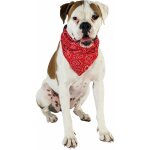 Chadog - collier chien bandana star rouge taille : t4 Chadog - collier chien bandana star rouge taille : t4