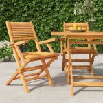 Chaises de jardin pliantes lot de 2 55x62x90cm bois massif teck vidaxl