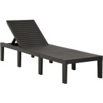 Vidaxl ? chaise longue en plastique anthracite ? dossier r�glable 5 positions ? dimensions 195 x 65 x ...