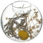 Atmosphera - chandelier, fleurs s�ches en verre, 2 en 1