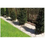 Chanvrelin 500 - 0, 5x3m paillage naturel