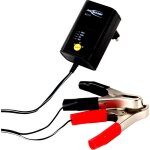 Chargeur  fiche ansmann 1001 - 0015 6 v, 2 v, 12 v v627661