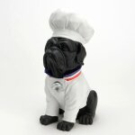 Chien cuisinier - amadeus