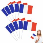 Choyclit - lot de 100 petits drapeaux fran�ais avec baguette en plastique, mini drapeau fran�ais de la ...