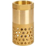Ersandy - clapet anti - retour pompe 1 pouce - clapet de pied clapet crepine anti retour (1 pouce)