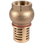 Clapet crepine eau 26x34