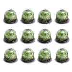 Cloche � salades x12 serre de protection pour plants