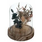 Cloche en verre de fleurs sches 17 cm - rose - silumen