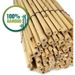 Happers - clôture jardin bambou naturel 100cm x 200cm (hauteur x largeur) bois Happers - clôture jardin bambou naturel 100cm x 200cm (hauteur x largeur) bois