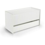 Coffre dgaiard, meuble d'entre moderne avec tagre  chaussures, coffre de coffre avec deux conteneurs, ...